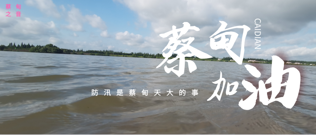 蔡甸區(qū)啟動(dòng)防汛ⅰ級應(yīng)急響應(yīng)，做好鋪土釘防汛木樁工作