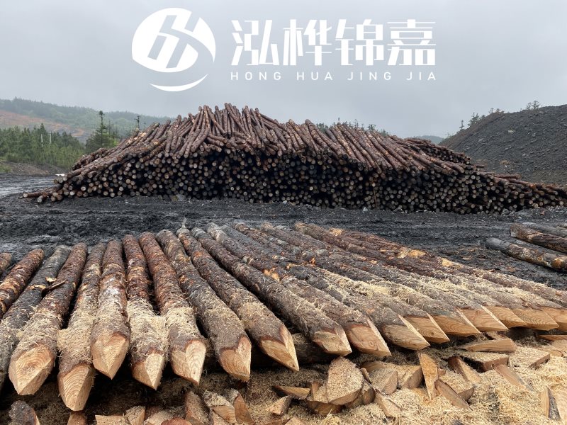 6米長松木樁有哪些作用，多少錢一根？