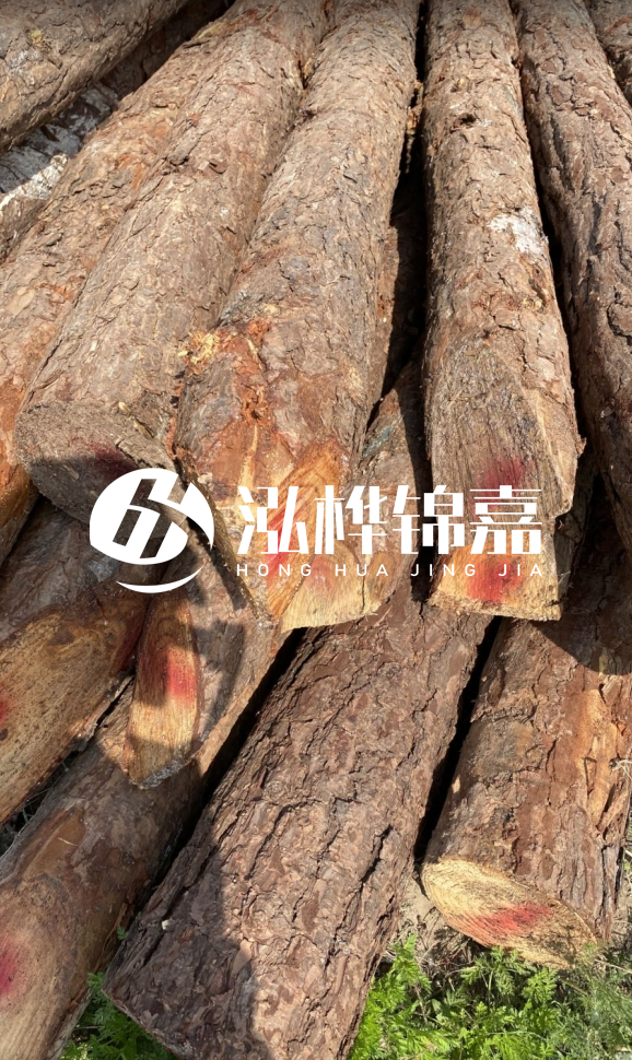<strong>松木樁和杉木樁的用途區(qū)別？哪個更適合打樁用？</strong>