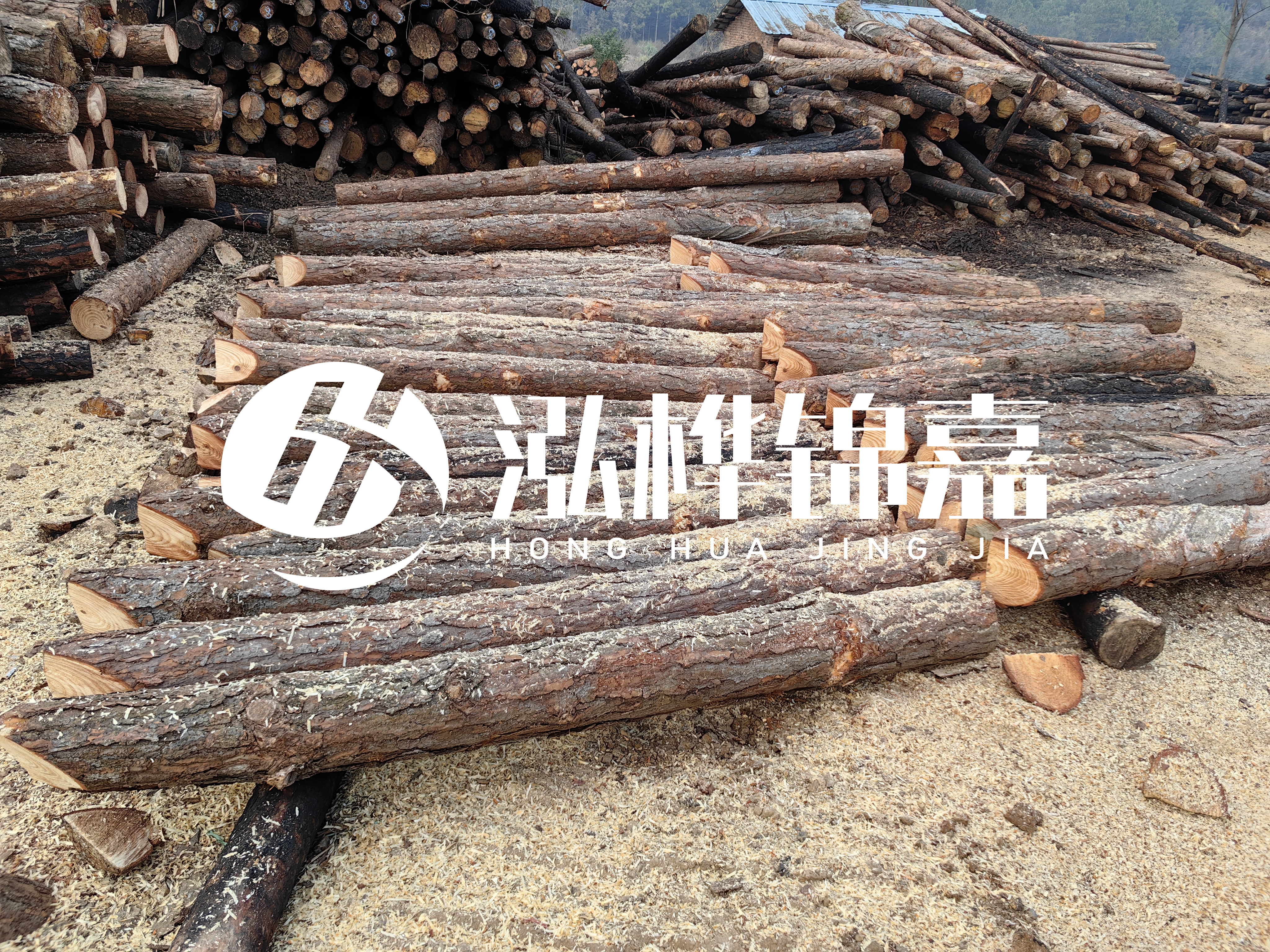 河道打樁木重復(fù)利用嗎？
