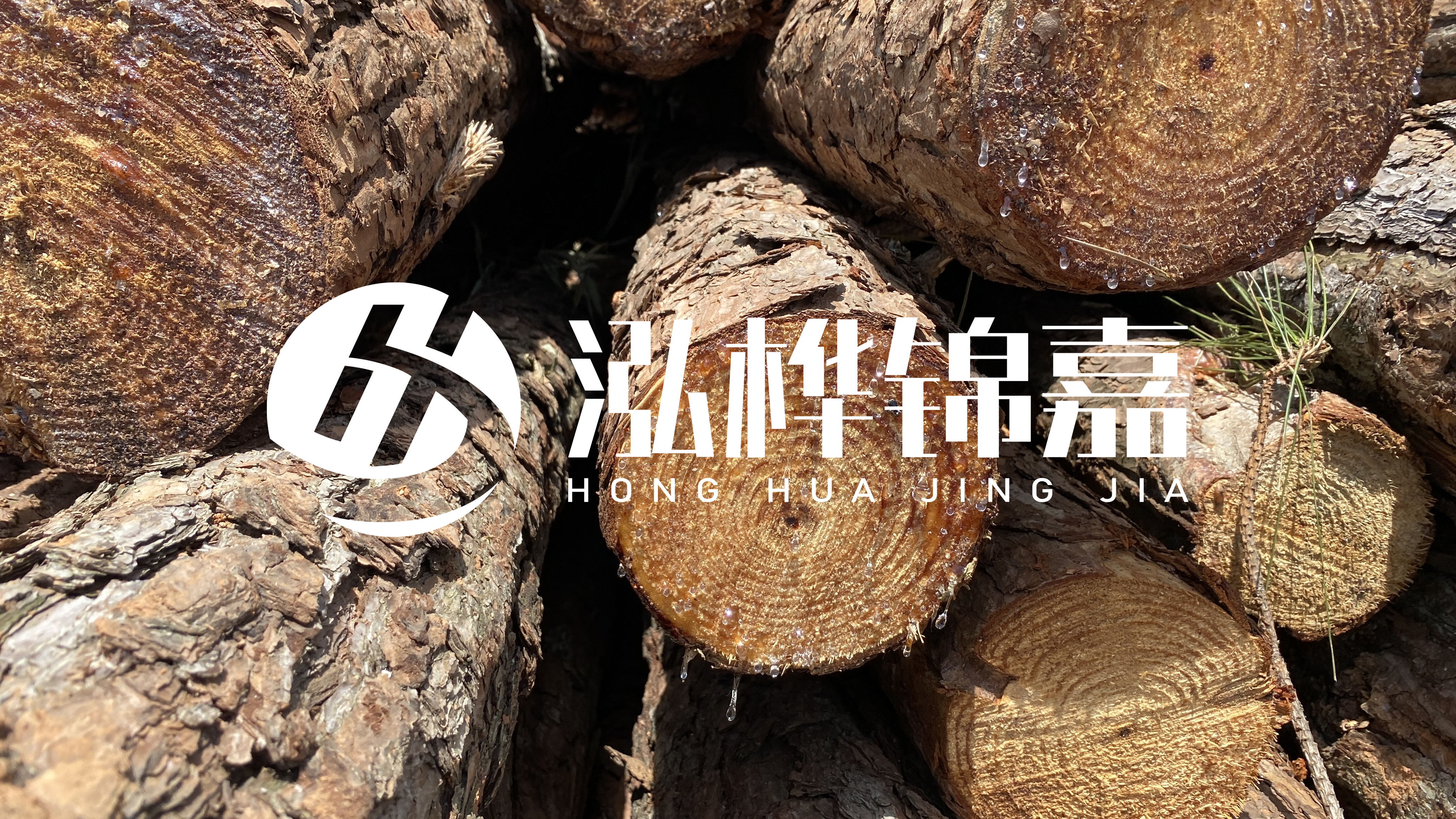 為什么要用松木樁治理河道？