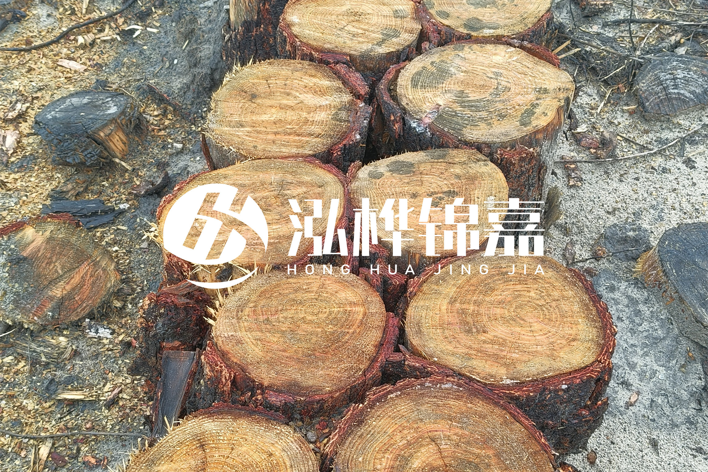 浙江臺州有清淤的公司嗎？浙江臺州有清淤施工隊(duì)嗎？