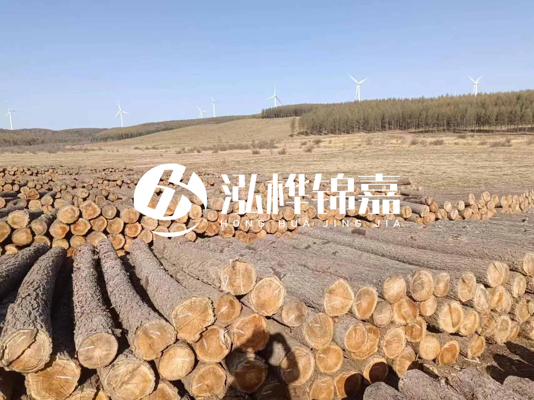 咸寧松木樁源頭廠家-哪里能買到質(zhì)量好的松木樁打樁木？