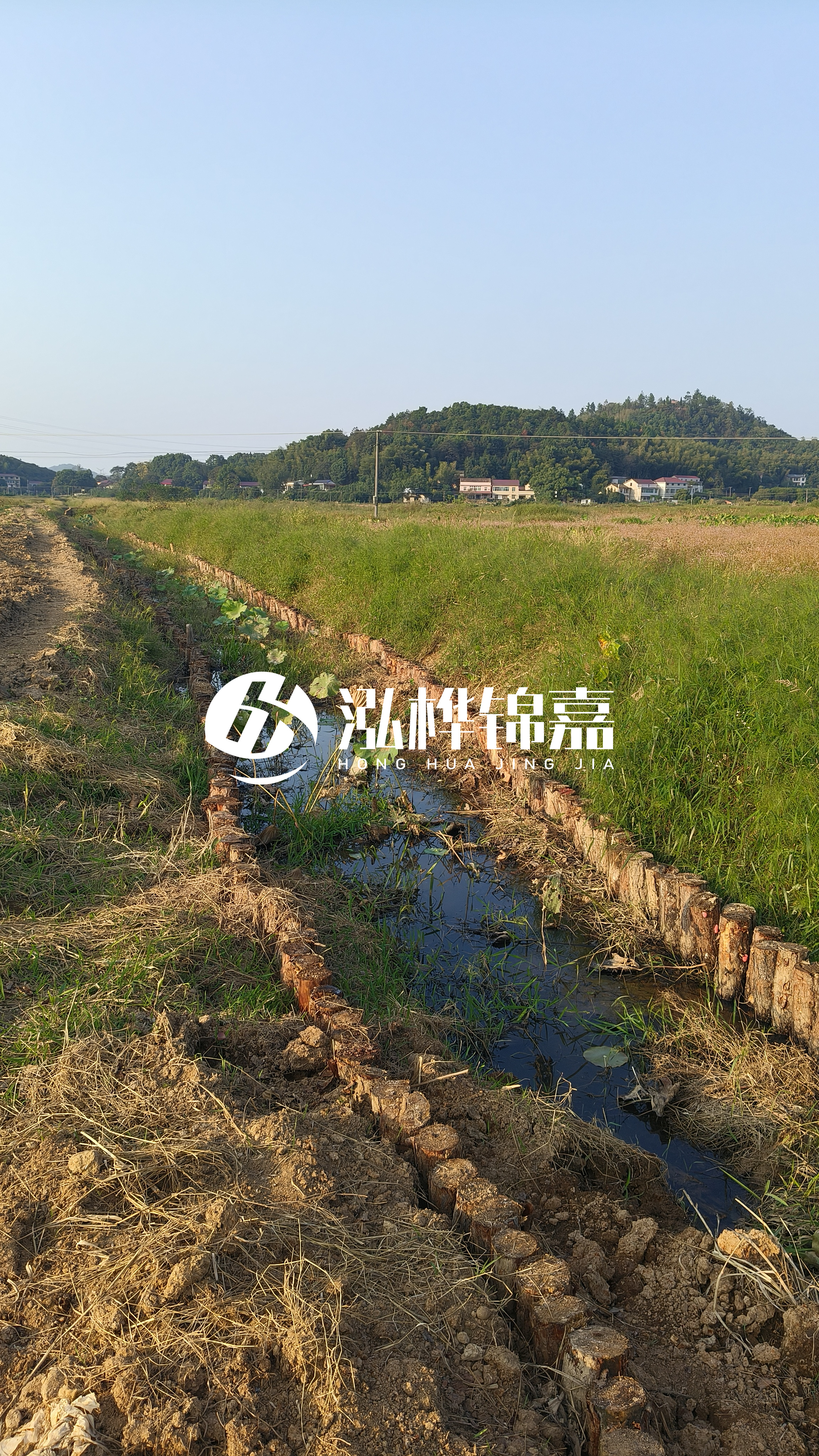 河道護(hù)坡打木樁的目的全解析：你知道幾個？