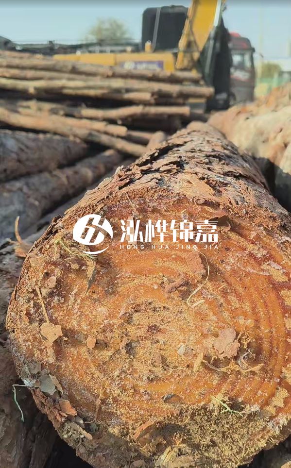 杉木樁價(jià)格多少錢(qián)一方-3米直徑14公分杉木樁價(jià)格？