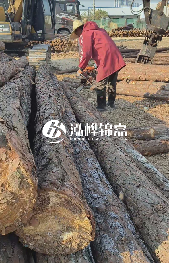 長(zhǎng)沙打樁木批發(fā)廠家在哪里？聯(lián)系方式是什么？