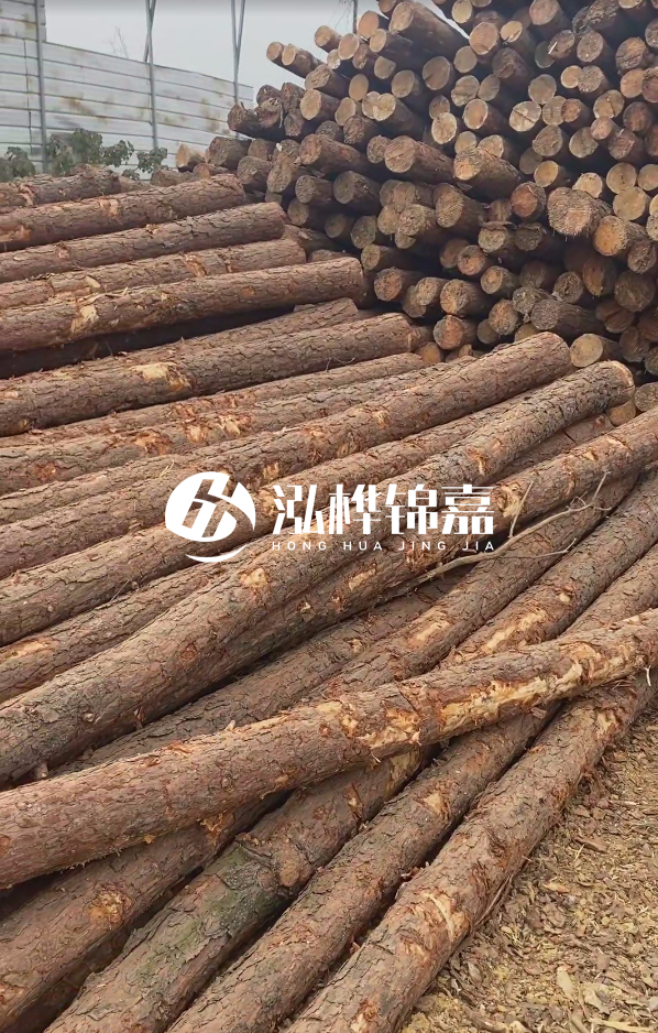山西河道木樁護(hù)岸價(jià)格多少錢一米-每米河道打樁要花多少錢？