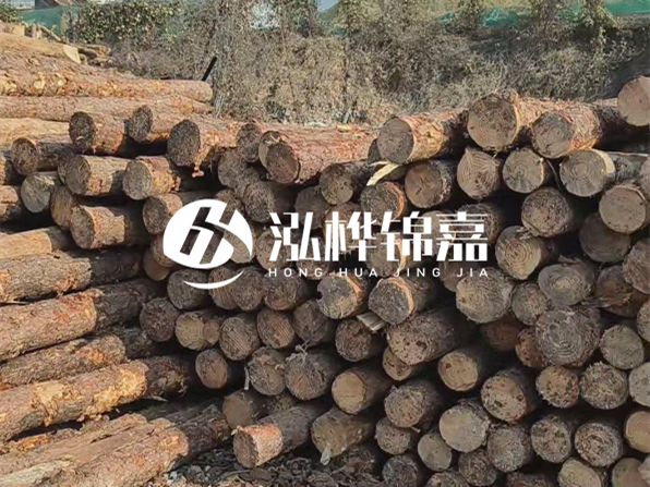 落葉松木材的主要產(chǎn)地在哪里？為什么比其他松木更耐腐蝕？