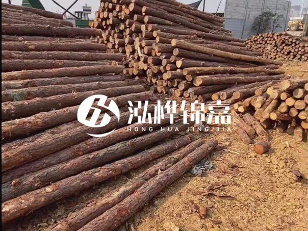 河道木樁施工遇到淤泥怎么辦？打多深才能防沖刷？