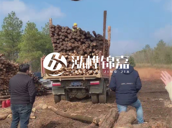 松木樁價格是按米算還是按根算？6米松木樁批發(fā)價每根多少錢？