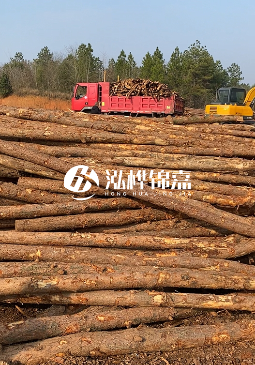 8米小頭11-13CM的松木樁價格是多少？打樁施工怎么算？