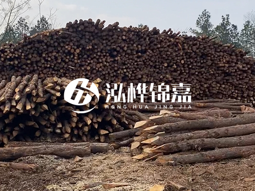 地基打木樁用什么木材 - 地基打木樁的能撐幾年？