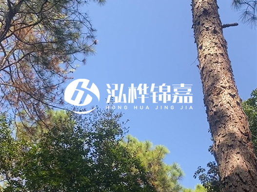 松木樁廠家泓樺錦嘉可以實地考察嗎？需要提前預約嗎？