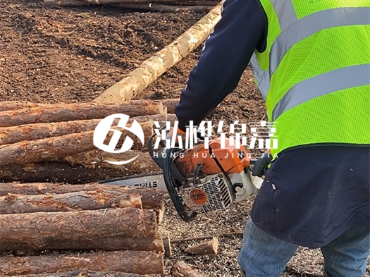 河道打木樁多少錢(qián)一根？5米直徑10松木樁打樁多少錢(qián)？