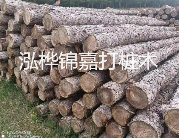 高效修補，保駕護航！水泥路面高強度修補料為您解決煩惱！