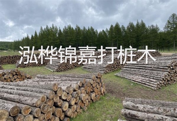 預制松木樁施工工藝：優(yōu)質(zhì)材料，高效快速，堅固耐用