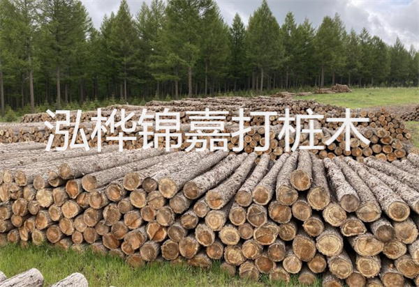 松木樁能施工嗎？探究視頻揭秘真相！