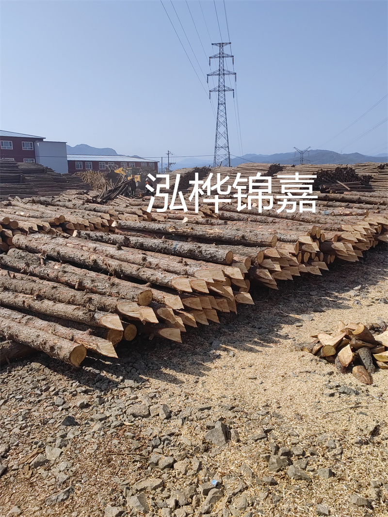 深入了解松木樁基礎(chǔ)施工單價(jià)，助力工程建設(shè)順利進(jìn)行！