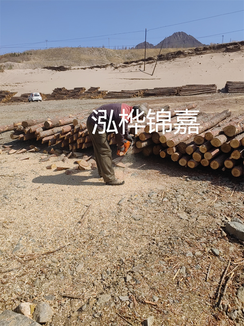 松木樁駁岸施工，打造水上風(fēng)景線(xiàn)