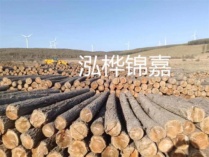 溫州松木樁施工廠家——為您打造堅固穩(wěn)定的建筑基礎！