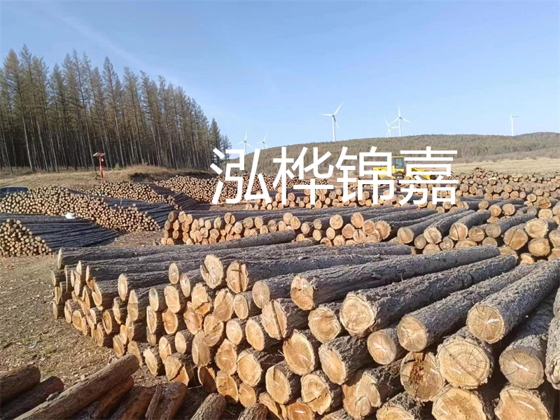 用路基松木樁施工方案提升工程質(zhì)量描述：了解路基松木樁施工方案的重要性，提高工程質(zhì)量關鍵詞：路基松木樁，施工方案，工程質(zhì)量