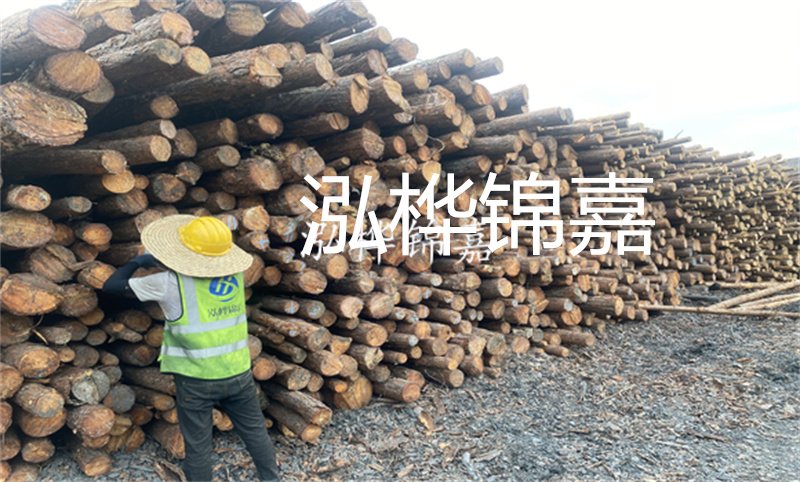 當(dāng)建筑需要強(qiáng)大支撐，鄭州這里有松木樁！