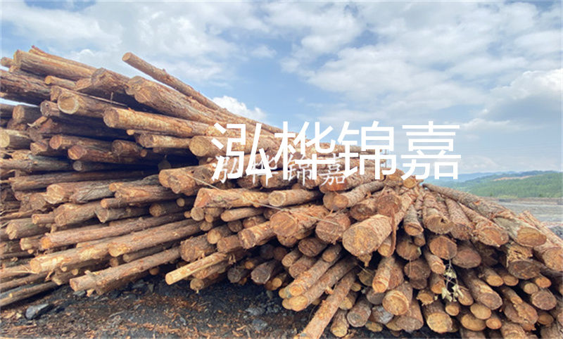 濮陽松木樁，卓越品質(zhì)，安全可靠