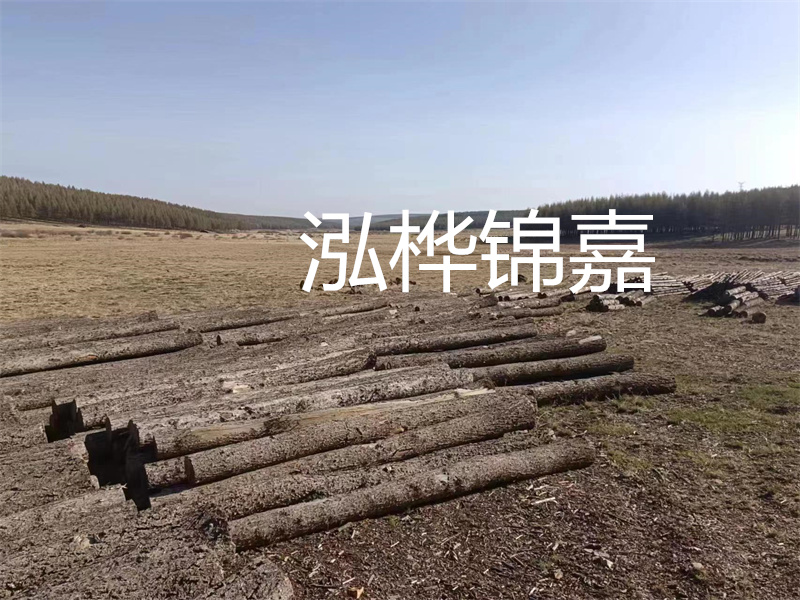 鄂州松木樁哪里好？推薦泓樺錦嘉松木樁業(yè)！